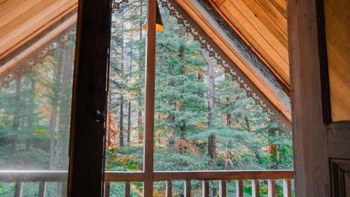 happy returns home jibhi