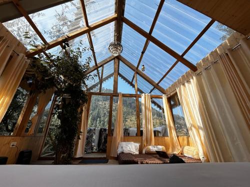 happy returns home jibhi