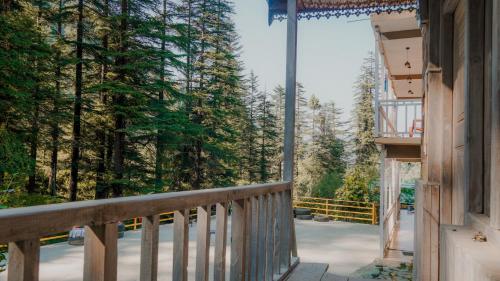 happy returns home jibhi