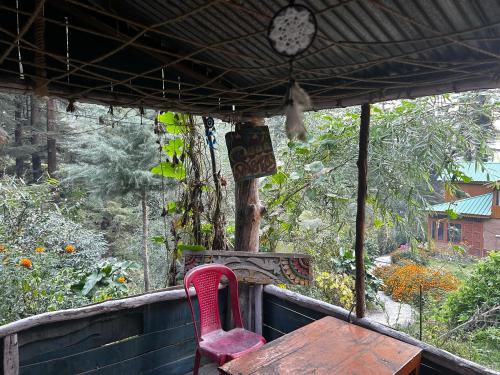 happy returns home jibhi