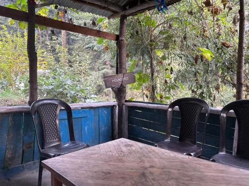 happy returns home jibhi