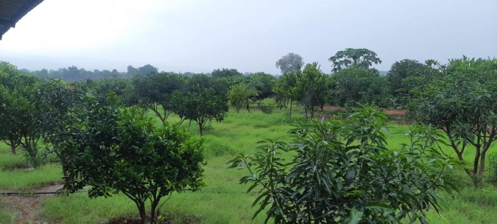 pachmarhi