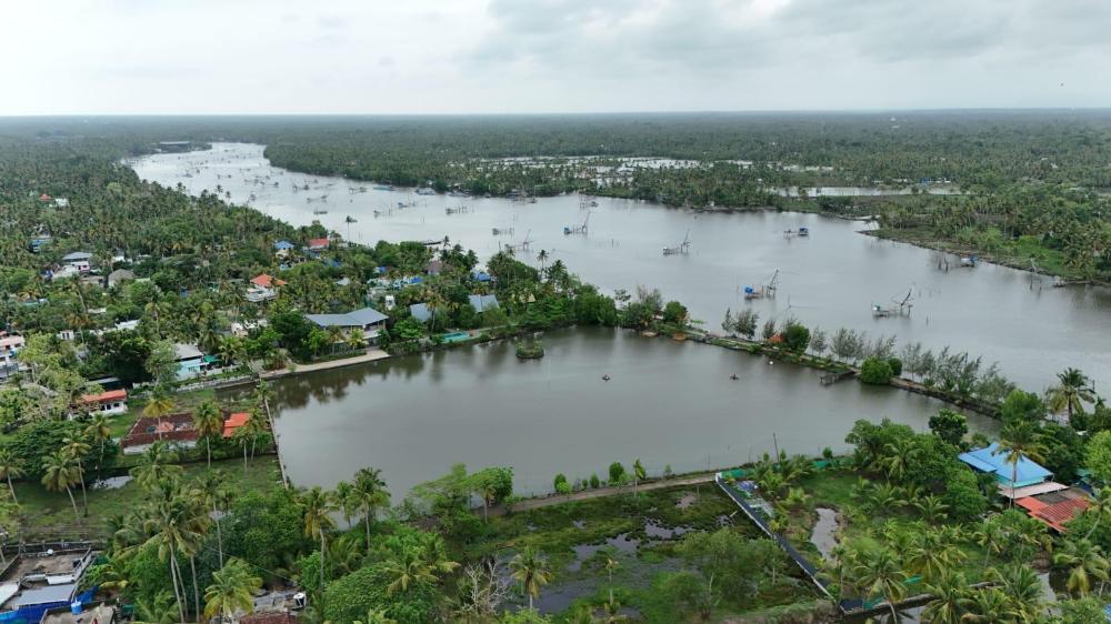 brackish kayal resort