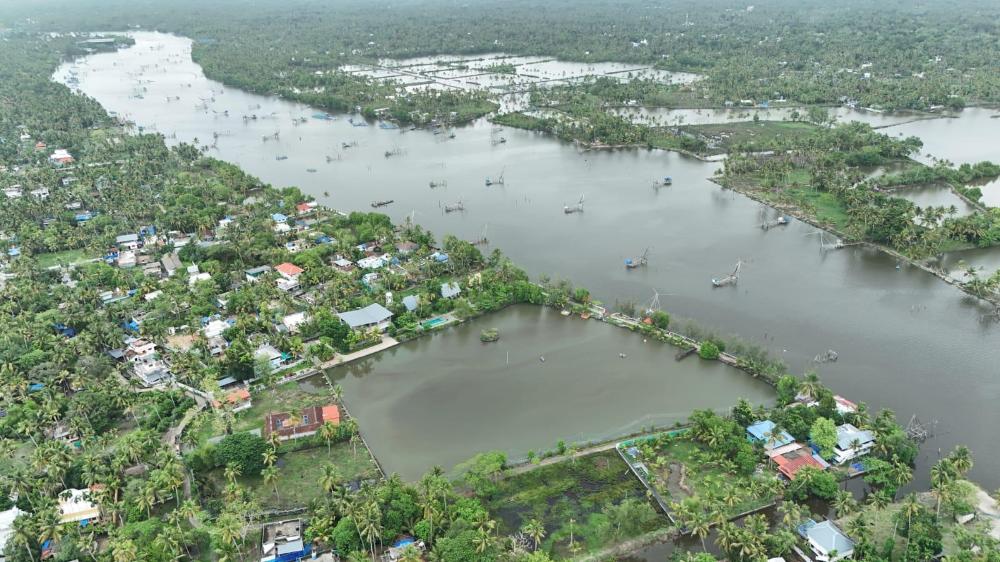 brackish kayal resort