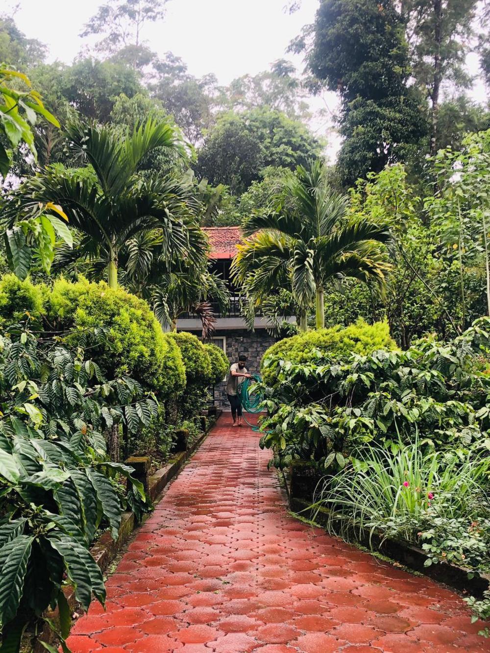 swapna estate stay coorg