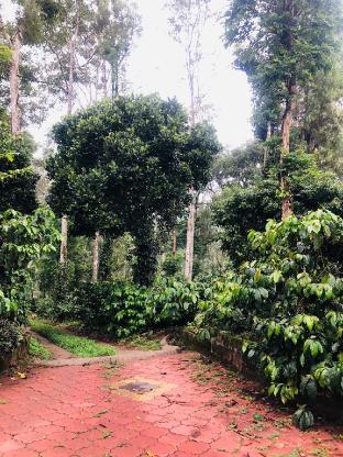 swapna estate stay coorg