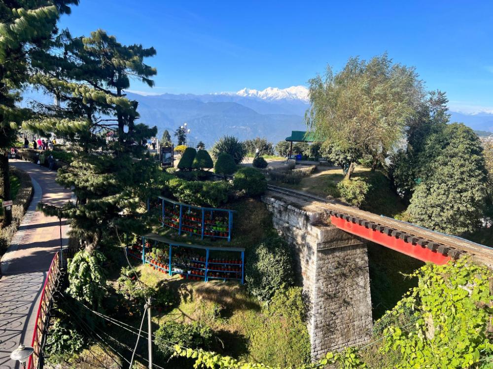darjeeling