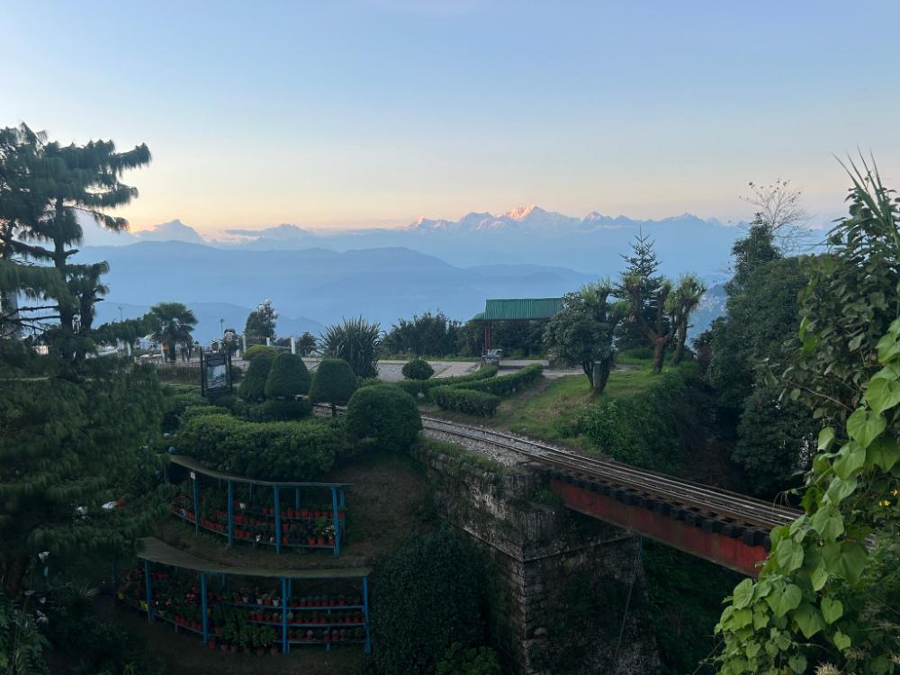 darjeeling