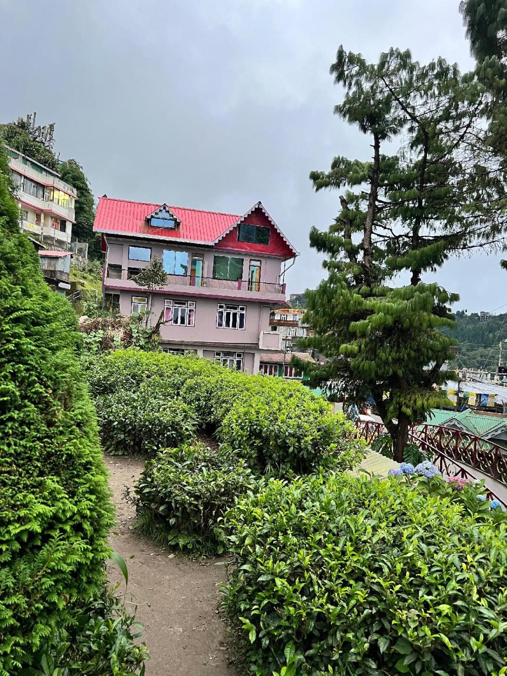 darjeeling