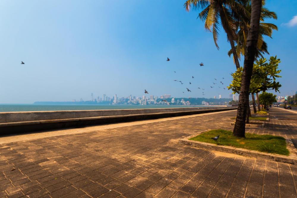 hotel gulshan grand