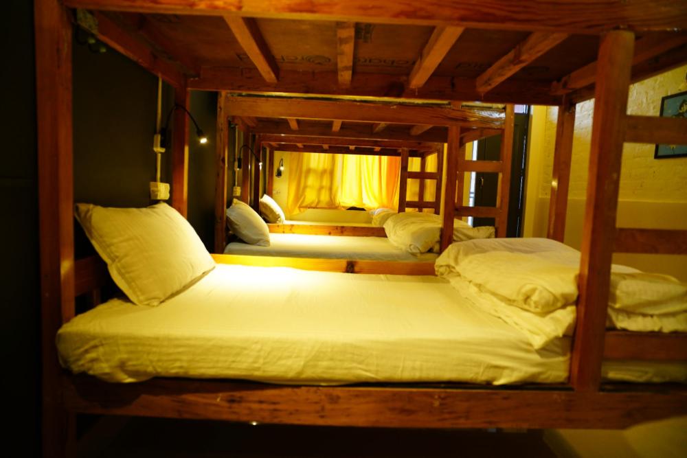 friends by alizeh bhagsunag mcleodganj