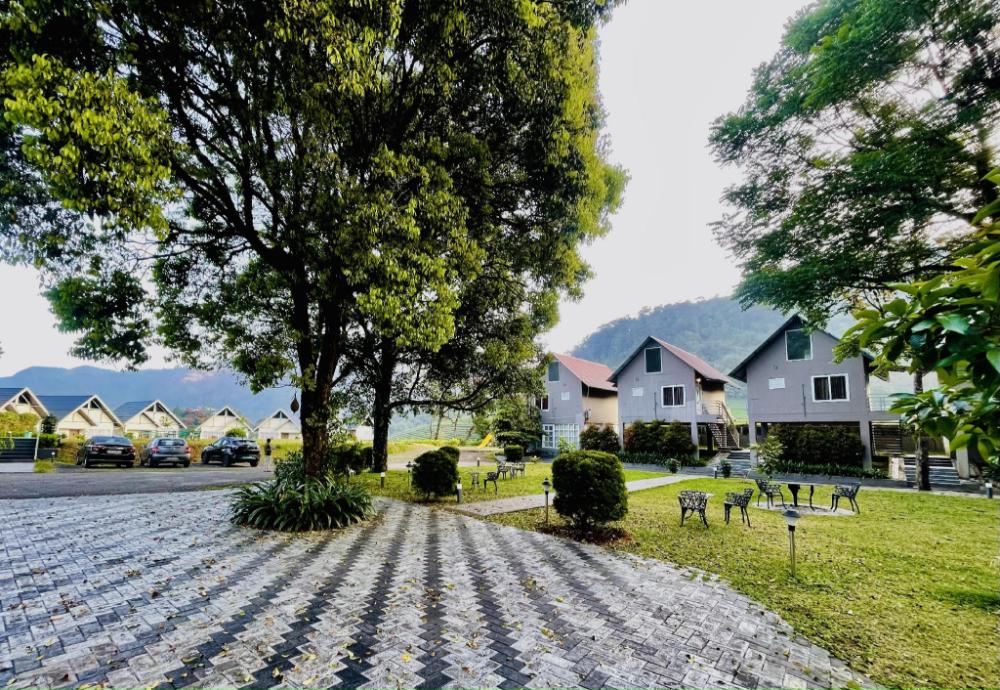 zero degree jungle resort