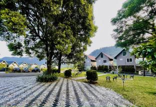 zero degree jungle resort