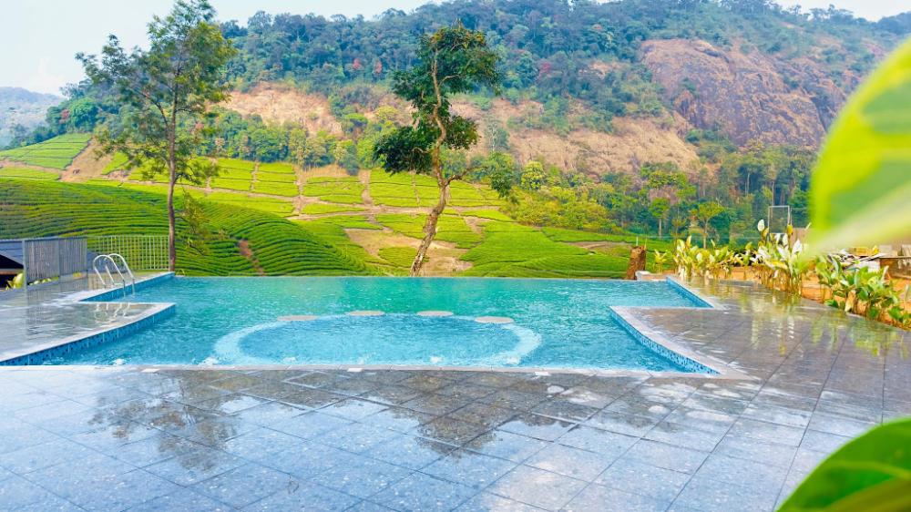 zero degree jungle resort