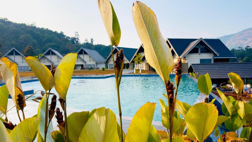 zero degree jungle resort