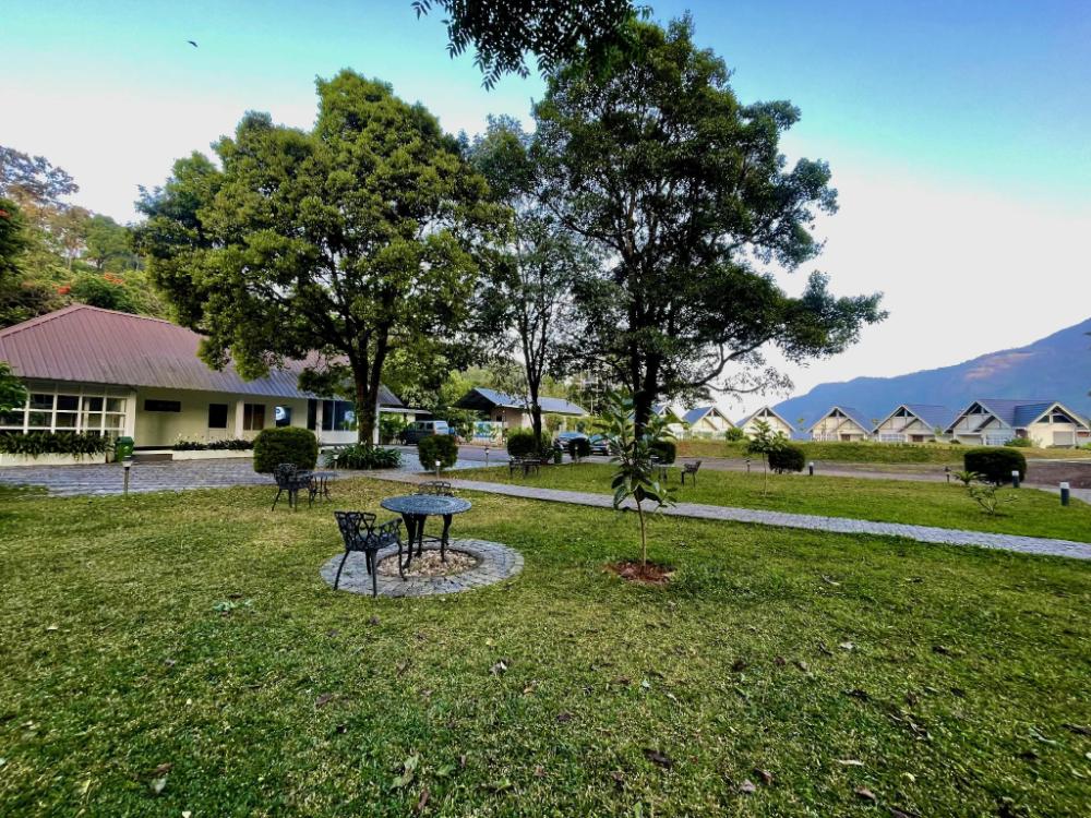 zero degree jungle resort