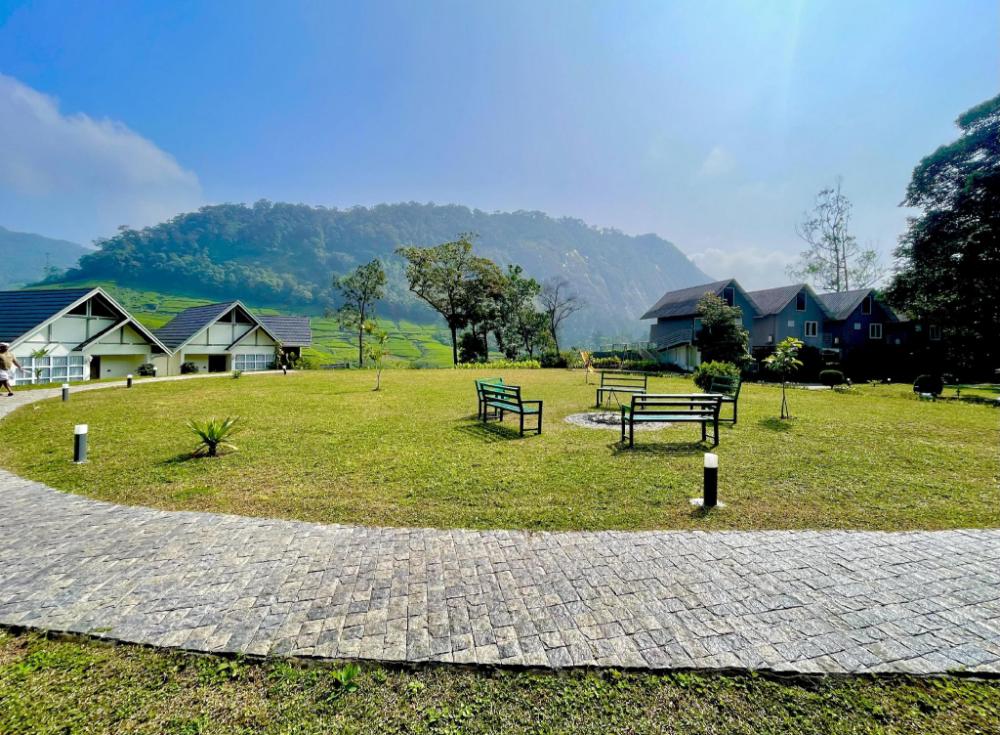 zero degree jungle resort