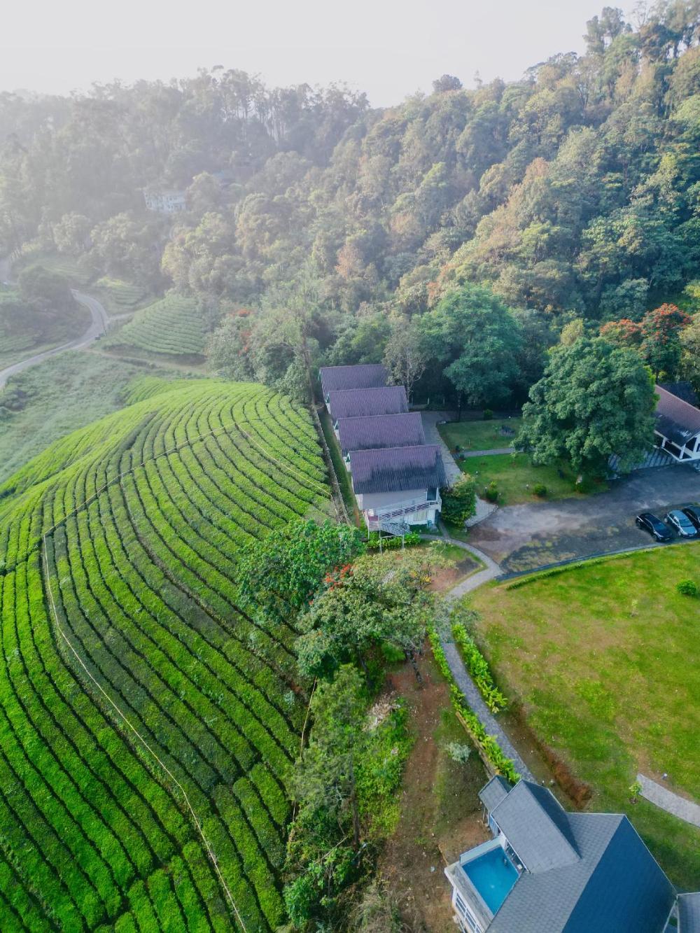 zero degree jungle resort