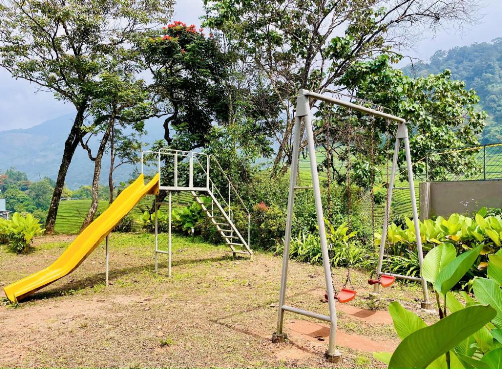 zero degree jungle resort