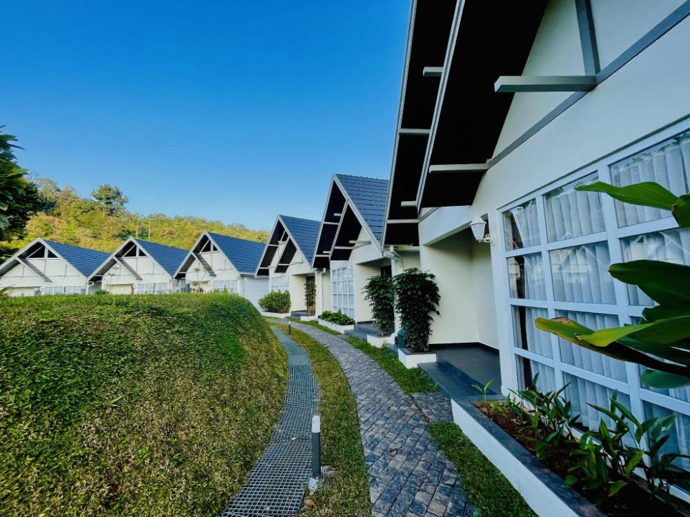 zero degree jungle resort