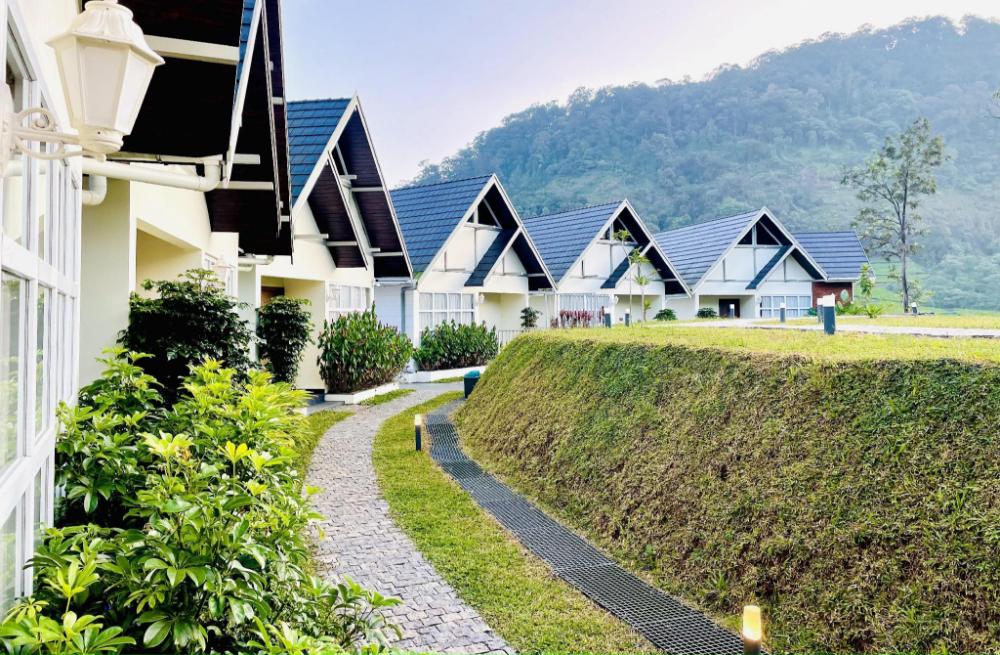 zero degree jungle resort