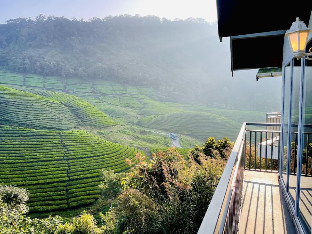 zero degree jungle resort