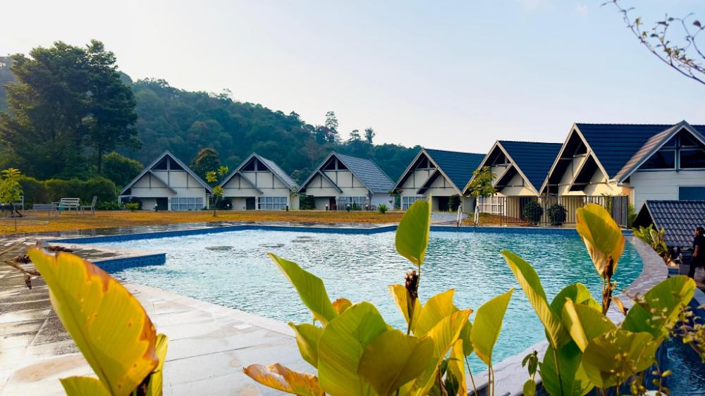 zero degree jungle resort