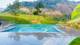 zero degree jungle resort