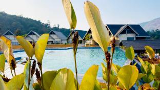 zero degree jungle resort