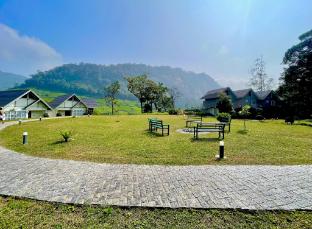 zero degree jungle resort