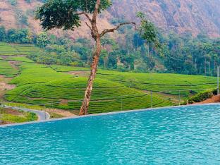 zero degree jungle resort