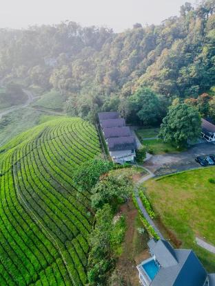 zero degree jungle resort