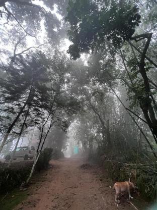 guwahati
