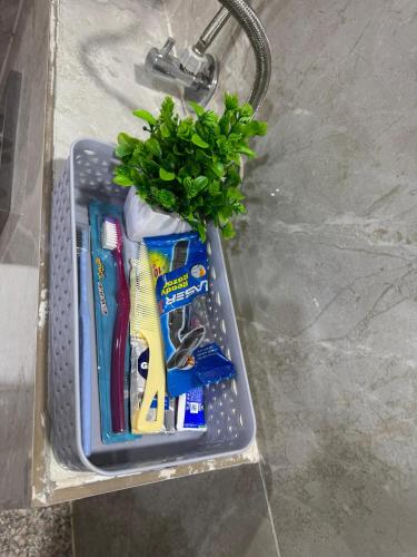 bliss paradise nearest to expo mart gr noida