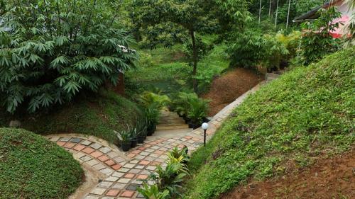 wayanad