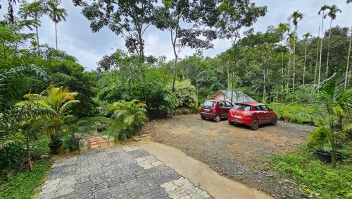 wayanad