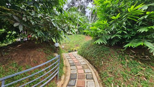 wayanad