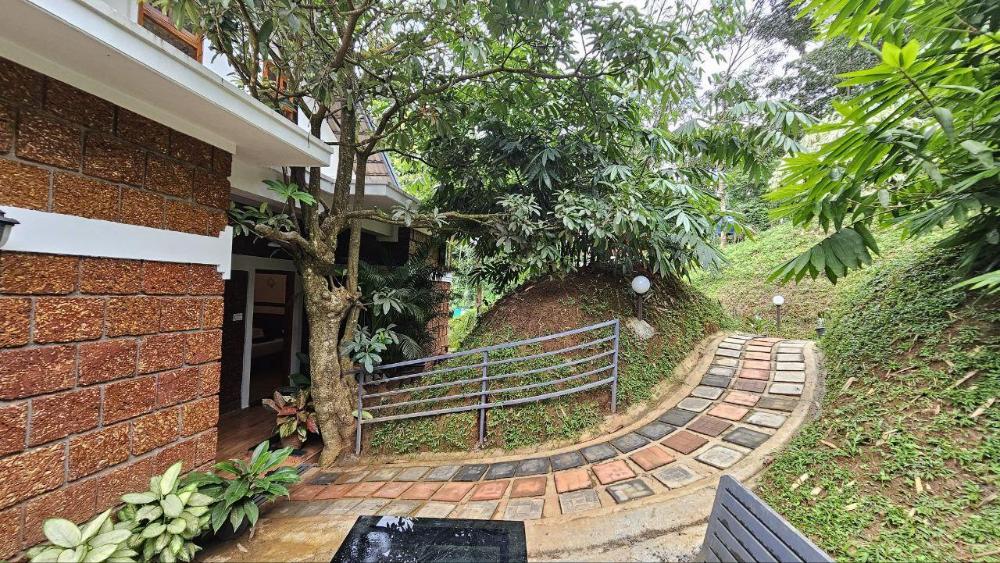 wayanad