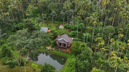 wayanad
