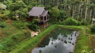 wayanad