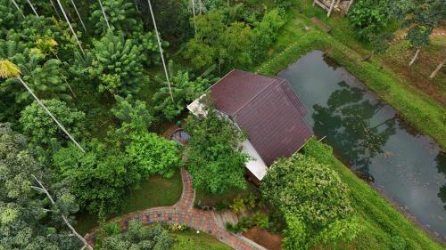 wayanad