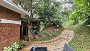 wayanad