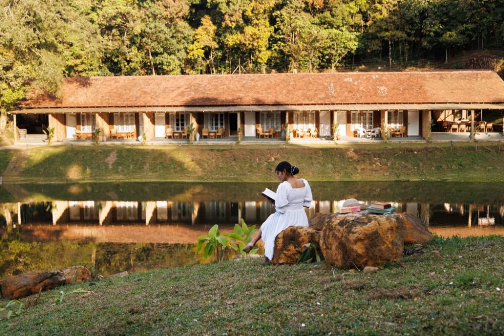 jungle park resort vythiri wayanad