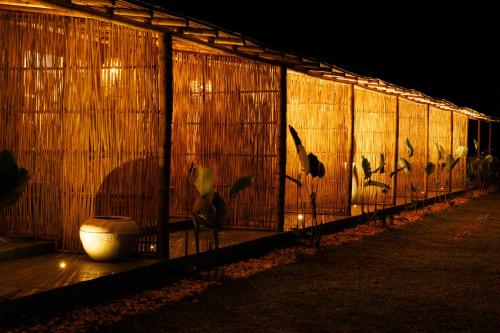 jungle park resort vythiri wayanad