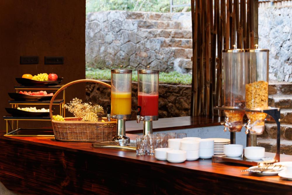 jungle park resort vythiri wayanad