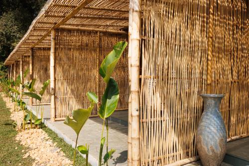 jungle park resort vythiri wayanad