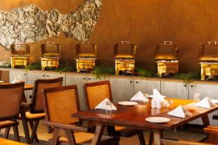 jungle park resort vythiri wayanad