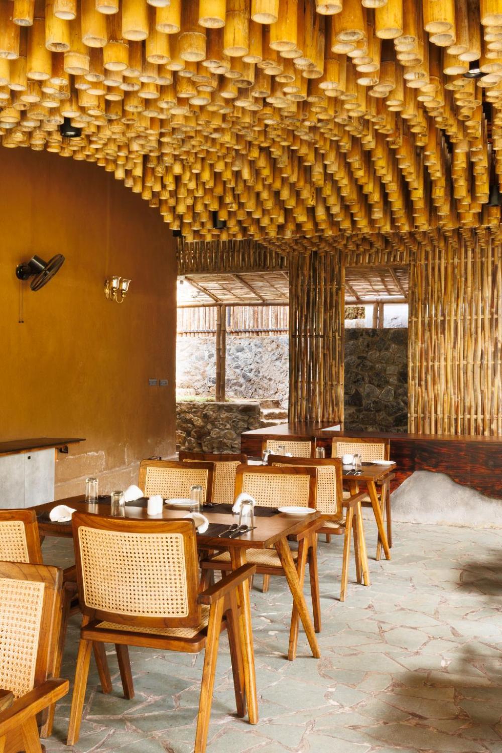 jungle park resort vythiri wayanad