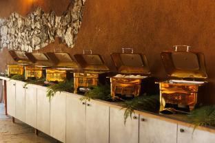 jungle park resort vythiri wayanad