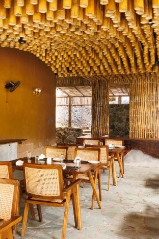 jungle park resort vythiri wayanad